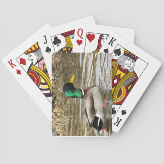 Cartes de jeu de Mallard