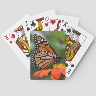 Cartes de jeu de papillon de monarque