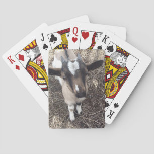 Cartes de jeu de photo de chèvre