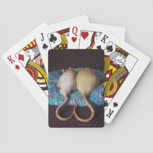 Cartes de jeu de rat