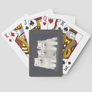 Cartes de jeu de Samoyed
