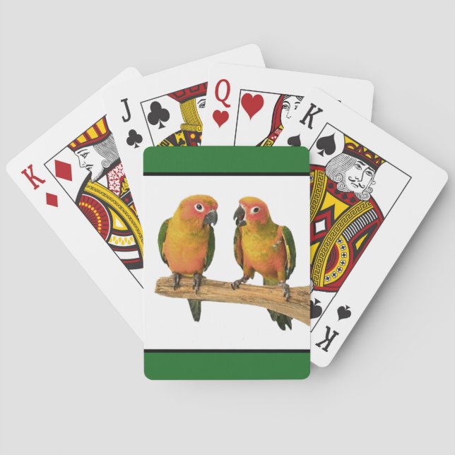 Cartes de jeu de Sun Conure (beaucoup de couleurs) (dos)