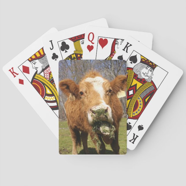 Cartes De Jeu De Vache (dos)