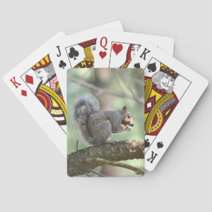 Cartes de jeu d'écureuils