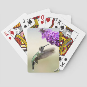 Cartes de jeu des colibris