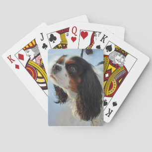 Cartes De Jeu D'Espagnol Cavalier Tri-Colorées