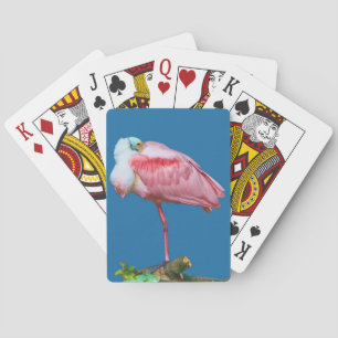 Cartes de jeu d'oiseaux de Spoonbill Roseate