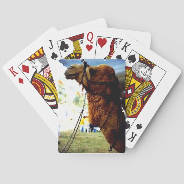 Cartes de jeu israéliennes de chameau (dos)