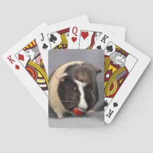 Cartes de jeu malfaisantes de cobaye