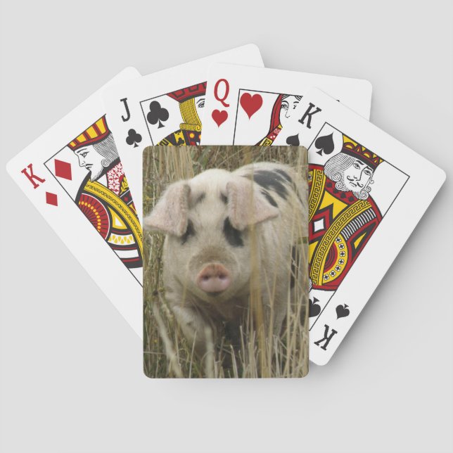 Cartes de jeu mignonnes de porc (dos)