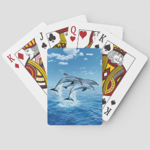 Cartes de jeu pour dauphins d'air