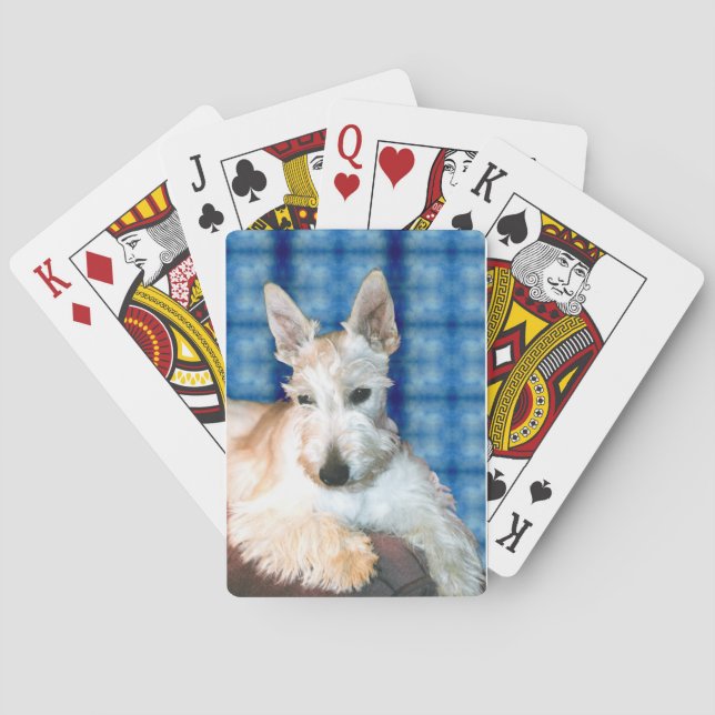 Cartes de jeu Scottie (dos)