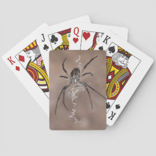 Cartes de jeu Spider