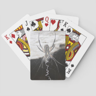 Cartes de jeu Spider