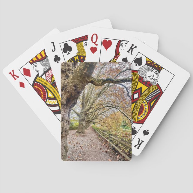 Cartes de jeu sur la voie forestière (dos)