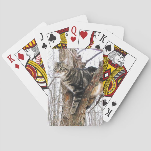 Cartes de jeu Tabby Cat (dos)