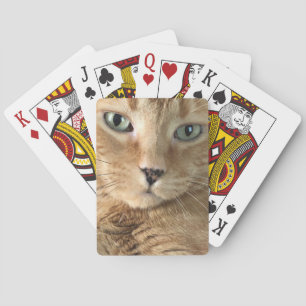 Cartes de jeu tigrées oranges
