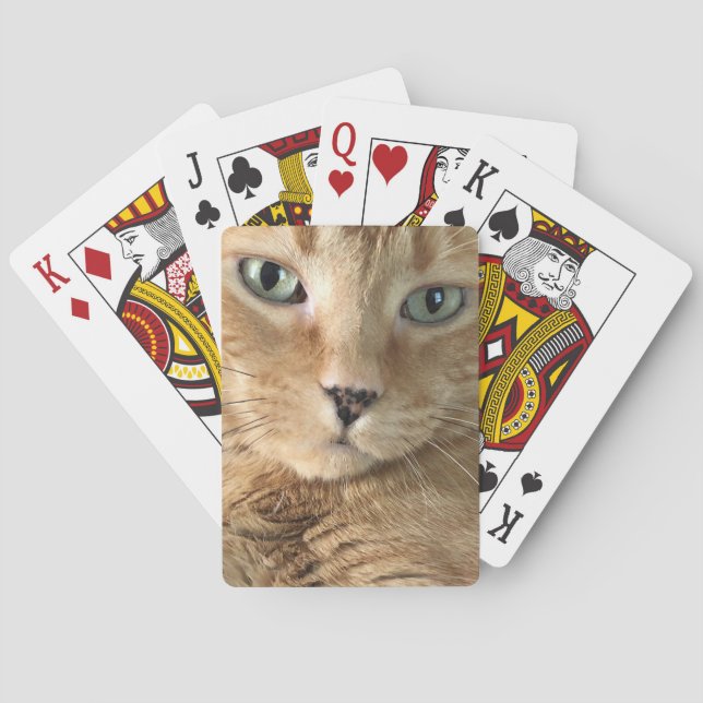 Cartes de jeu tigrées oranges (dos)