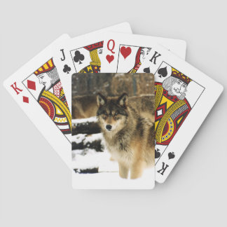 Cartes de jeu Wolf Bicycle