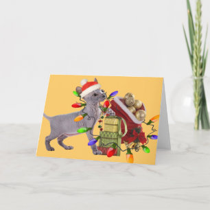 Cartes de Joyeux Noël de Sphynx