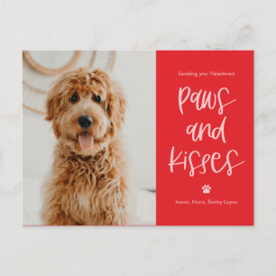 Cartes de la Saint-Valentin pour animaux avec biso