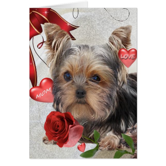 Cartes de maman de Yorkshire Terrier (Devant)