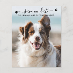 Cartes de mariage pour chien avec code QR pour pho