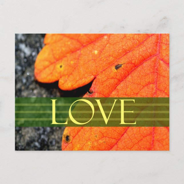 Cartes de mariage Save The Dates (Devant)