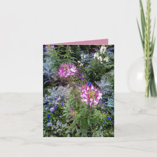 Cartes de Merci Vierge - Jardin Fleur