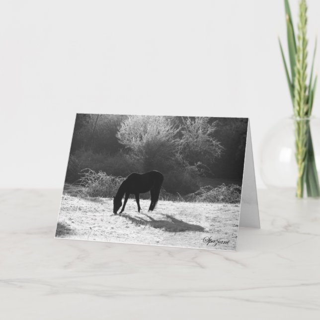 Cartes de Noël 2012 (Devant)