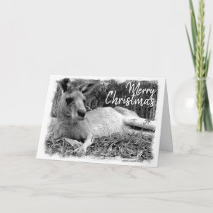 Cartes de Noël australiennes - Kangaroo