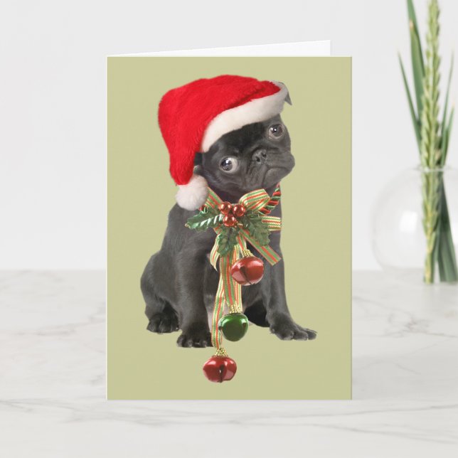Cartes de Noël carlin (Devant)