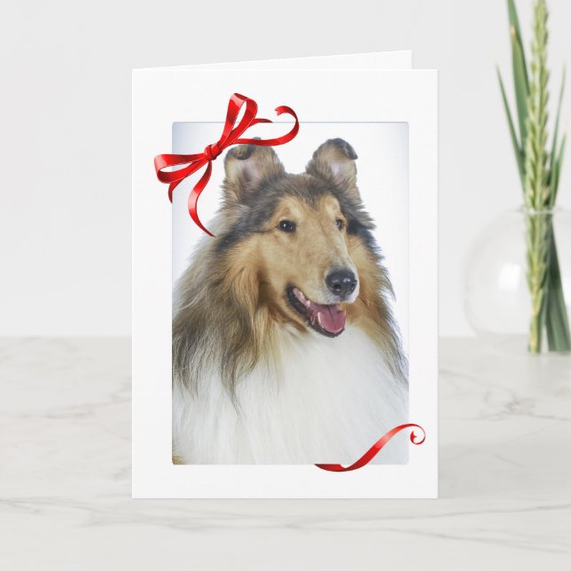Cartes de Noël Collie (Devant)