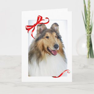 Cartes de Noël Collie