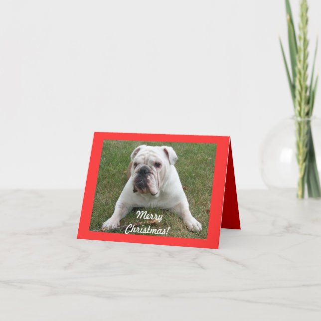 Cartes de Noël de Bulldog anglais (Devant)