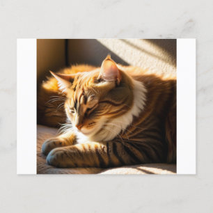 cartes de Noël de chat timbres 2025