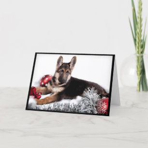 Cartes de Noël de chien berger allemand