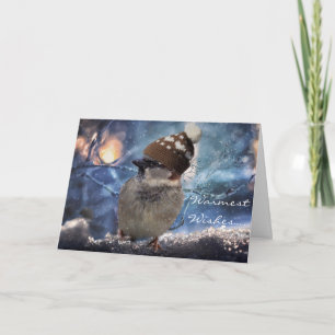 Cartes de Noël de vacances de nature d'oiseau de