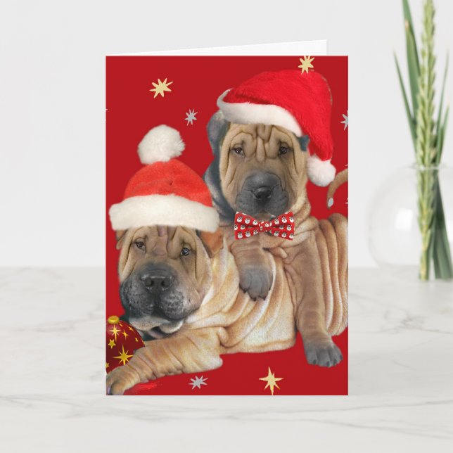 Cartes de Noël des frères Shar-pei (Devant)