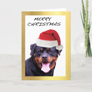 Cartes de Noël design "Rottweiler"