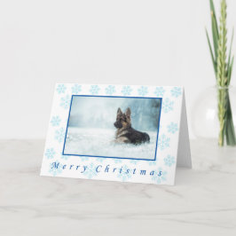 Cartes de Noël d'hiver de berger allemand