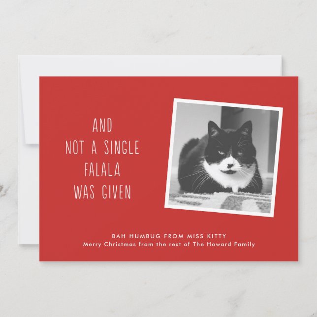 Cartes de Noël drôles d'animal familier pour des (Devant)