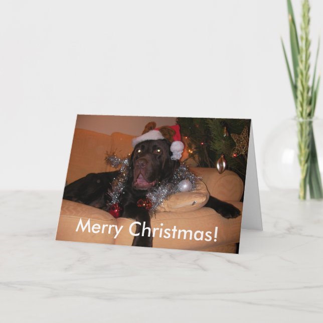 Cartes de Noël du Labrador au chocolat (Devant)