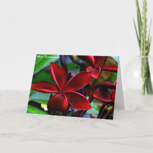 Cartes de Noël hawaïennes