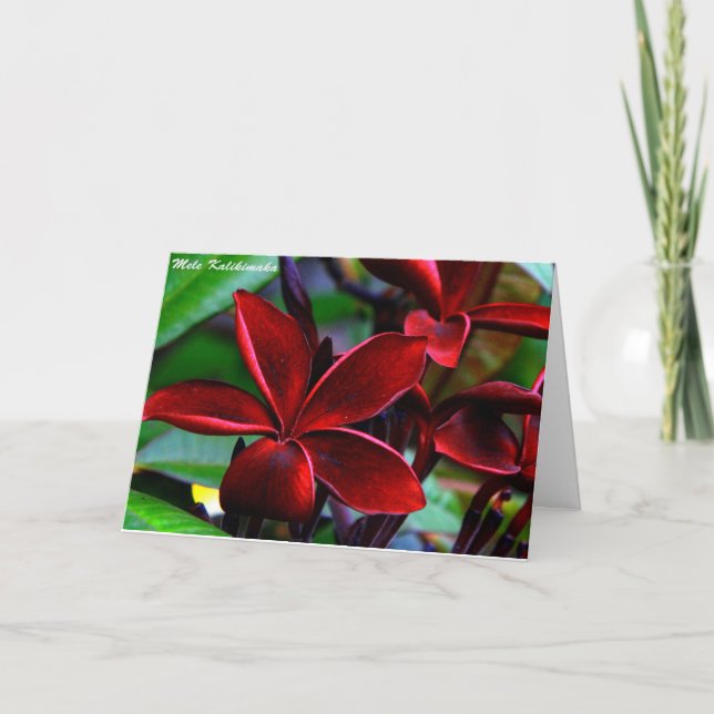 Cartes de Noël hawaïennes (Devant)