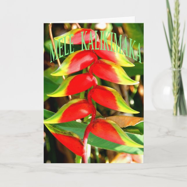 Cartes de Noël hawaïennes (Devant)