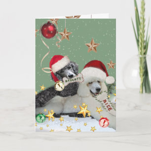 Cartes De Noël Naughty Ou Nice Poodé