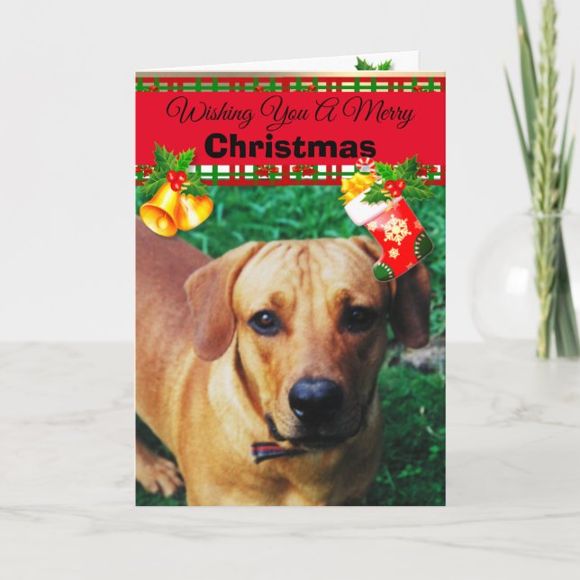 Cartes de Noël personnalisées pour chien (Devant)