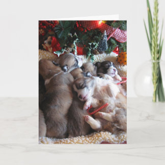 Cartes de Noël pour chiots et chiots de Corgi, un 