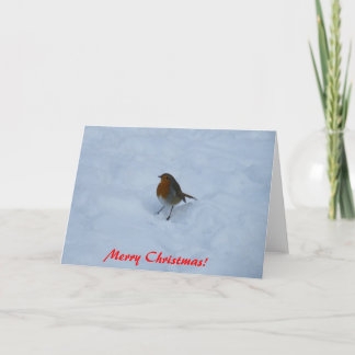 Cartes de Noël Robin